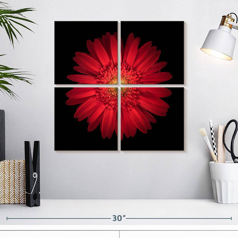 Marguerite rouge vif Harnek, H 18 po x l 18 po