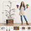 Plant Stand