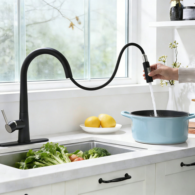 Kitchen Sink Faucet With Pull Down Sprayer