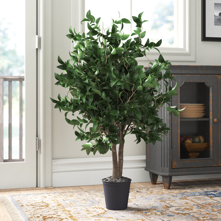 4' Artificial Ficus Bush, Black Plastic Pot