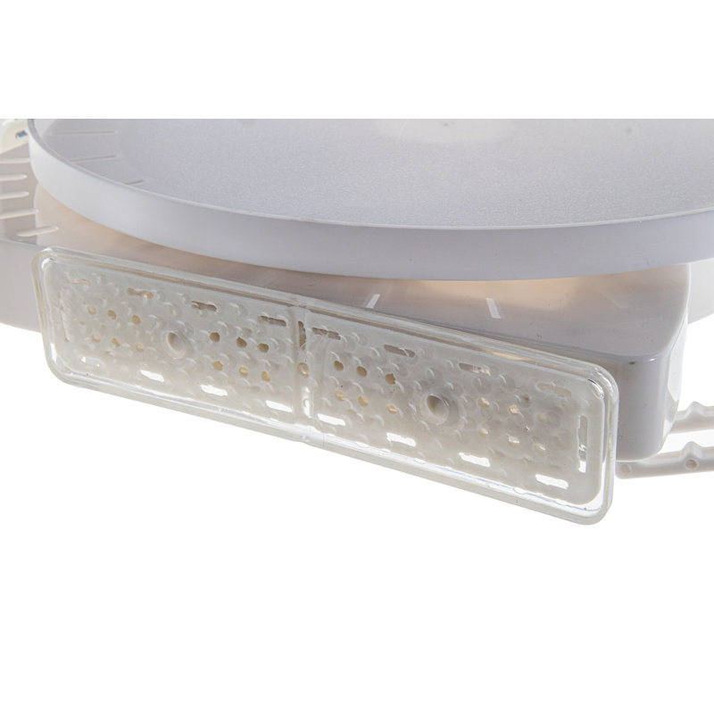 Adji Suction Shower Shelf