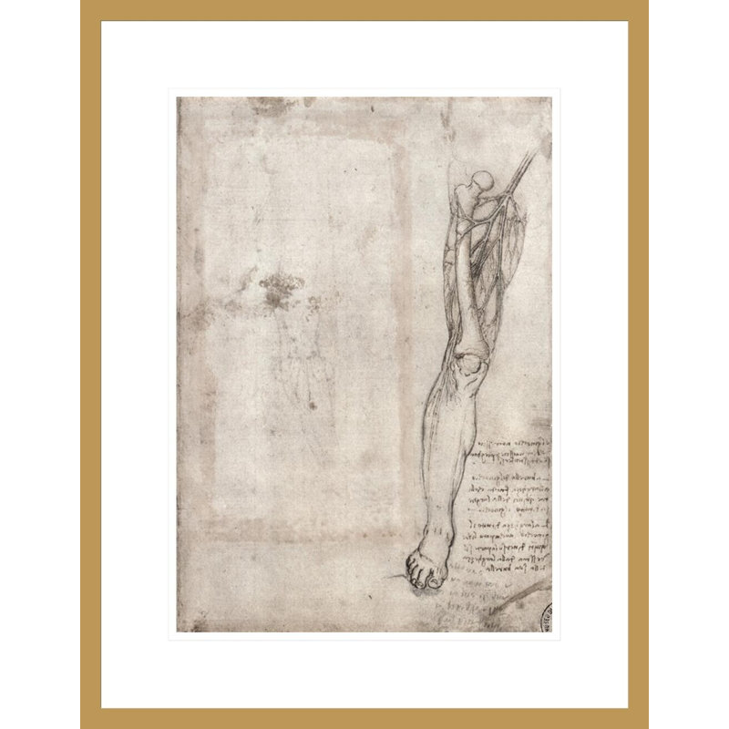 Dessin d'une patte humaine par Leonardo Da Vinci, impression giclée sur cadre, H 21,75 po x l 16,99 po