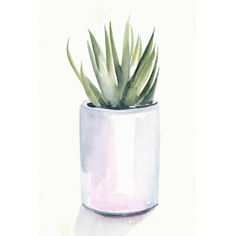 Potted Succulent III by Jennifer Paxton Parker - Wrapped Canvas Painting, 46cm H x 30cm W
