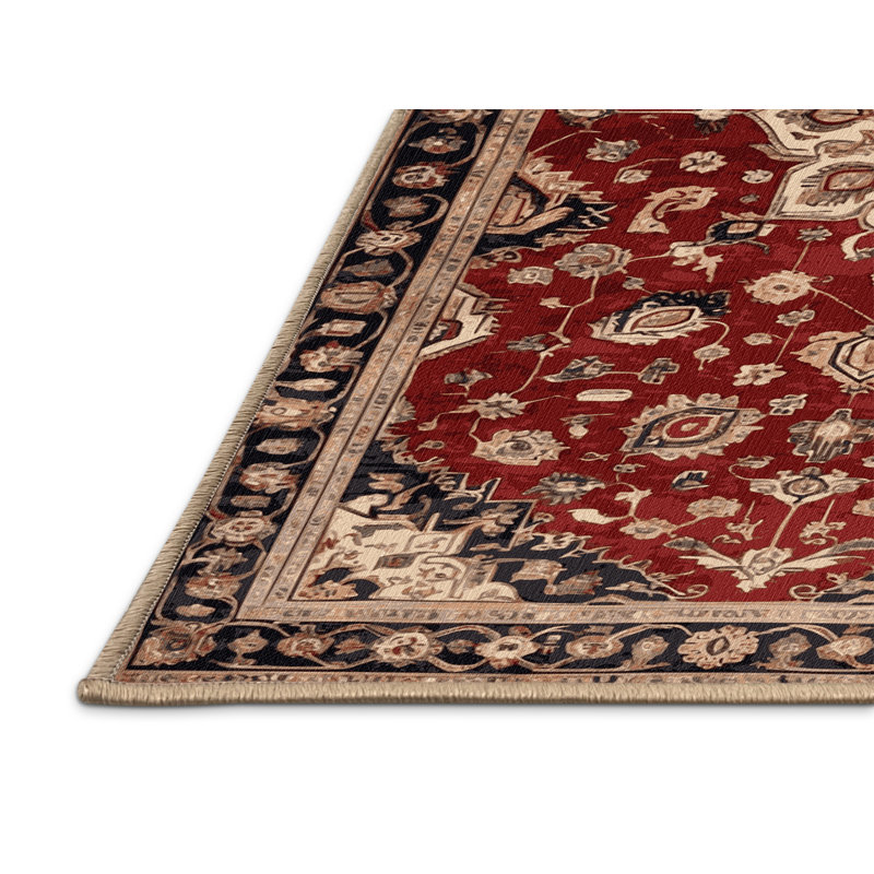 Machine Washable Turkish Brown Area Rug, Rectangle 3' x 5'