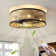 Peddie 20" Coastal Caged Ceiling Fan with Lights Flush Mounted