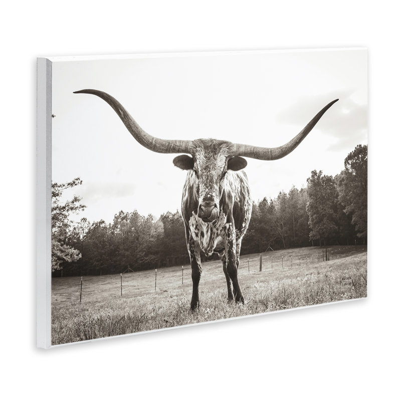 «Longhorn Lèche Lips» par Nathan Larson, H 13 po x l 19 po