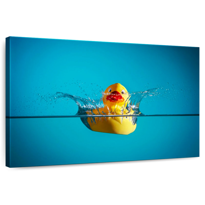 Ashelle Rubber Duck, 20" H x 30" W