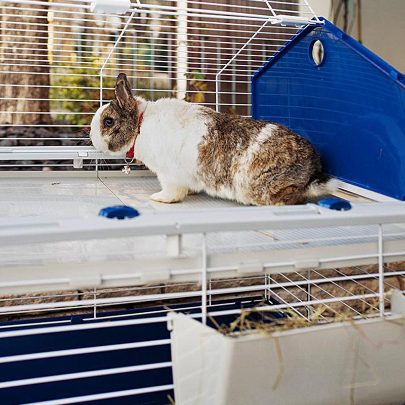 Rabbit Cage, 77cm H x 119cm W x 58cm D