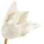 Tulip Stem in Stand