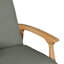 Modern Reclining Lounge Chair - Adjustable Backrest With Frame - Contemporary Living Room Accent-1735322728-1735322734