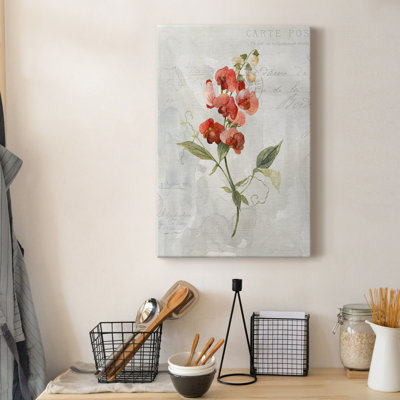 " Linen Sweet Pea " Painting Print