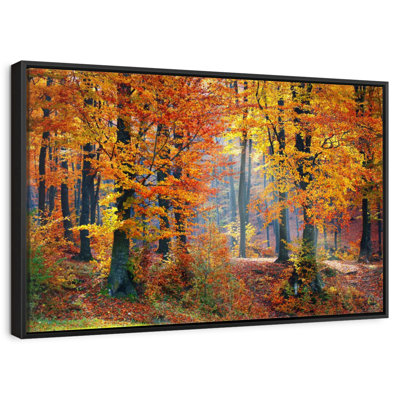 Arbres d'automne