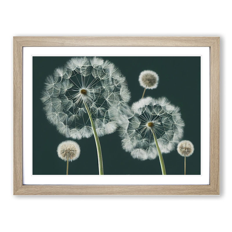 Magical Dandelion Flowers - Single Picture Frame Print, Oak, 46cm H x 64cm W x 2cm D