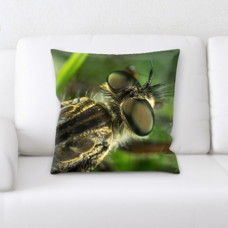 Coussin d’insectes