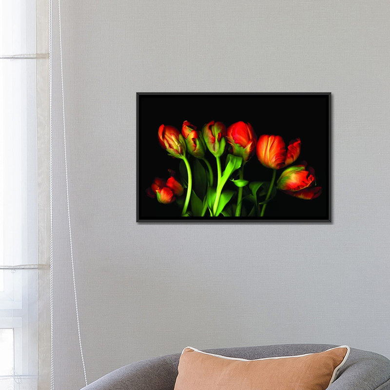 Magnifique sept, reproduction de photo sur toile tendue, H 18 po x l 26 po x P 1,5 po, Toile avec cadre noir, Pas de tapis