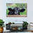 Brampt Nosy Ranch Cow-107707830