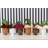 Jaziyah Handmade Ceramic Pot Planter-94673740