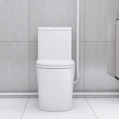 Dual-Flush Elongated One Piece Toilet with Soft-Close Seat