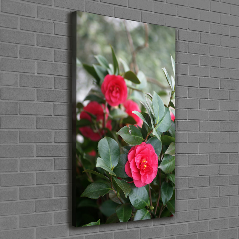 Camellia - Wrapped Canvas Print