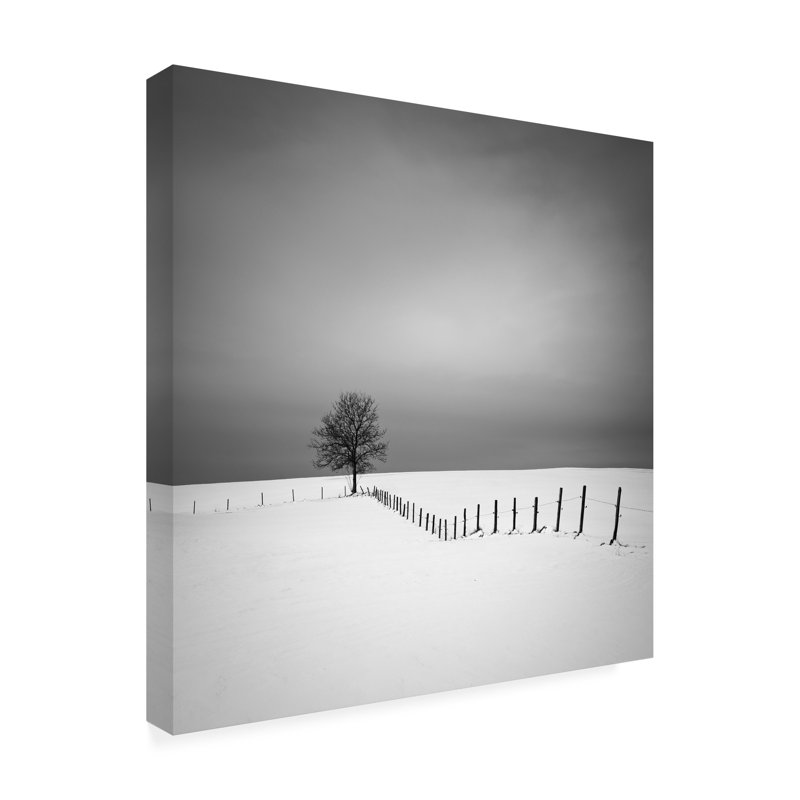 Art sur toile Alexej Schulz, H 24 po x l 24 po x P 2 po