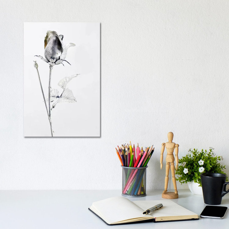 Saturn's Rose by Honeymoon Hotel - Wrapped Canvas Print, 20.32 cm H x 30.48 cm W