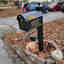 Customer photo 2 of 2
