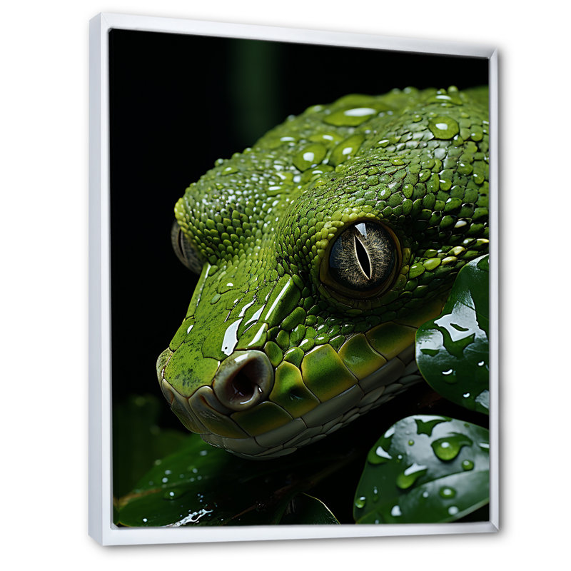 Serpent émeraude enroulé sur toile, H 40 po x l 30 po x P 1,5 po, Cadre flottant blanc