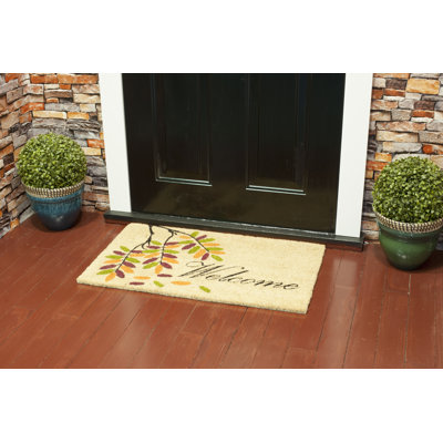 Tapis de porte d’extérieur anti-dérapant 30" x 18" en pvc coloré Locke