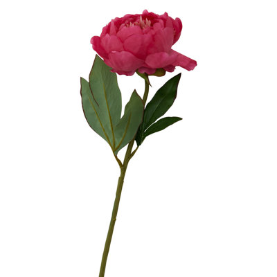 Fiori Peony Arrangement