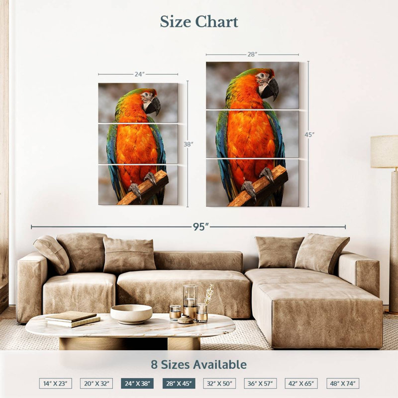 Catalina Macaw, 38" H x 24" W