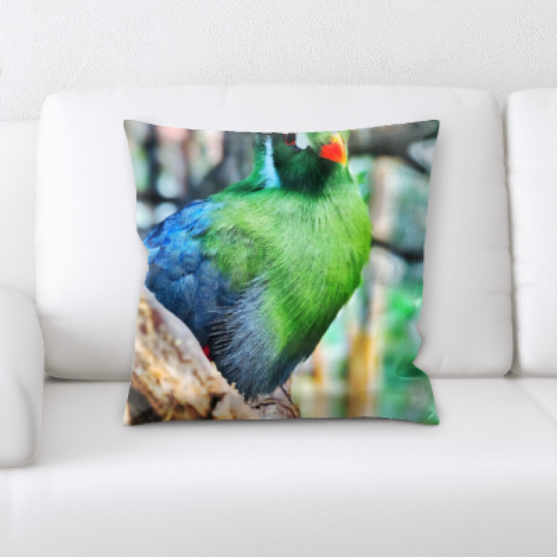 Coussin décoratif
