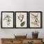 Pl. «160 Carolina Titmouse», ensemble de 3 impressions sur toile encadrées-1895717710-1895717705