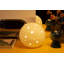 Masayo Novelty Lamp