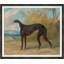Greyhound 2 Print