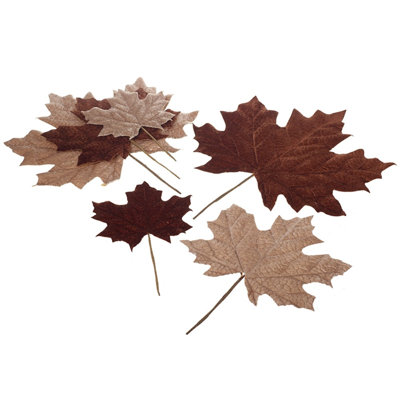 Decorative Autumn Leaf Set