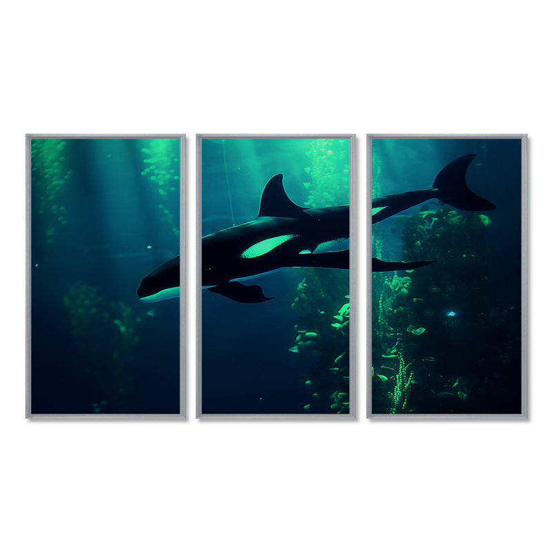 Amimma - ensemble de reproductions d'art mural animaux côtiers, Encadrement argenté, H 40 po x l 60 po x P 1 po