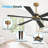 60 In. 6-Plywood Double-Sided Black and Walnut Blades Ceiling Fan With Remote Dc, Black and NAB Gold-360778140-360778131