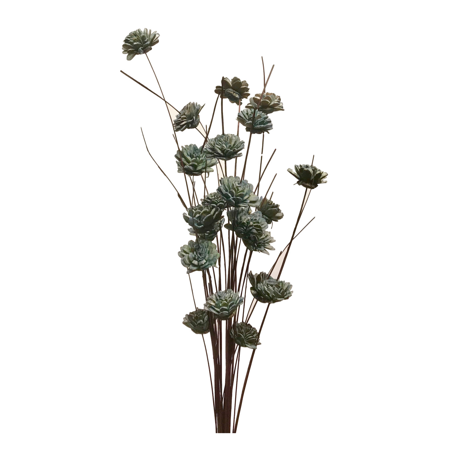 Zinnia Floral Stems, Seafoam Turquoise/Carmel