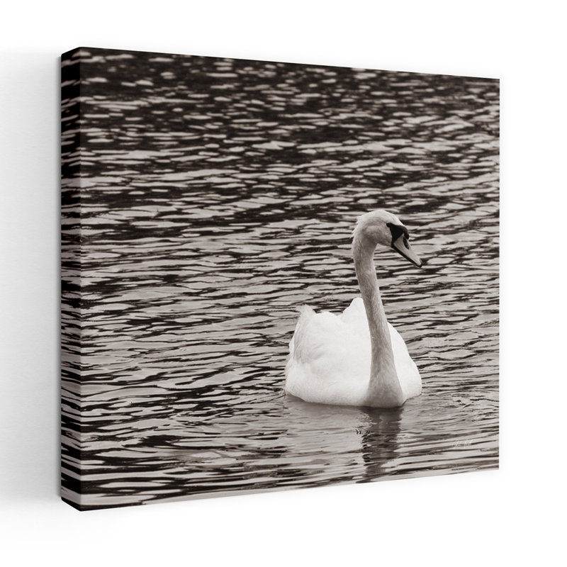 Cygne simple, art contemporain, H 32 po x l 32 po