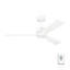 Rozzen Downrod Ceiling Fan-87900163-111282299-75885278