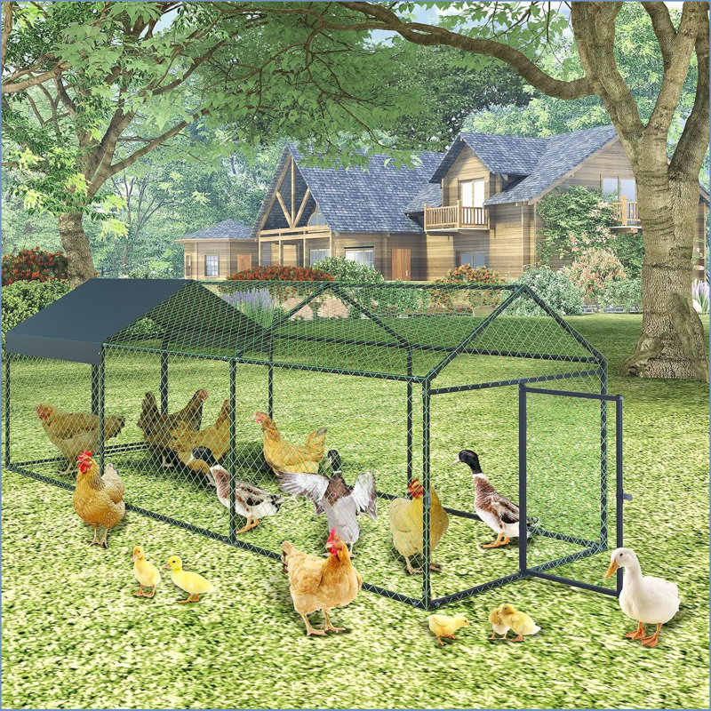 Chicken Run