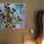 Customer photo 3 of 5
