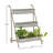Evadale Iron Indoor Hanging Planter
