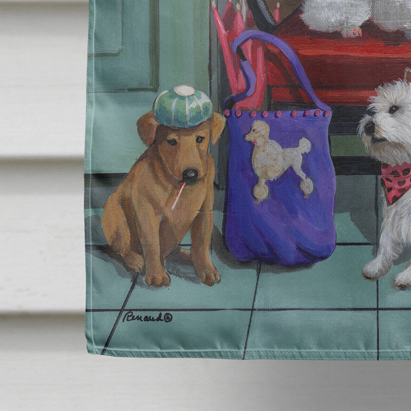 Drapeau de maison Hvidovre Sheltie Halloween en polyester à 2 faces 3 x 2 pi, Chiots visite au vétérinaire
