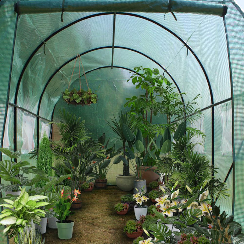 7 Ft W x 12 Ft D Greenhouse