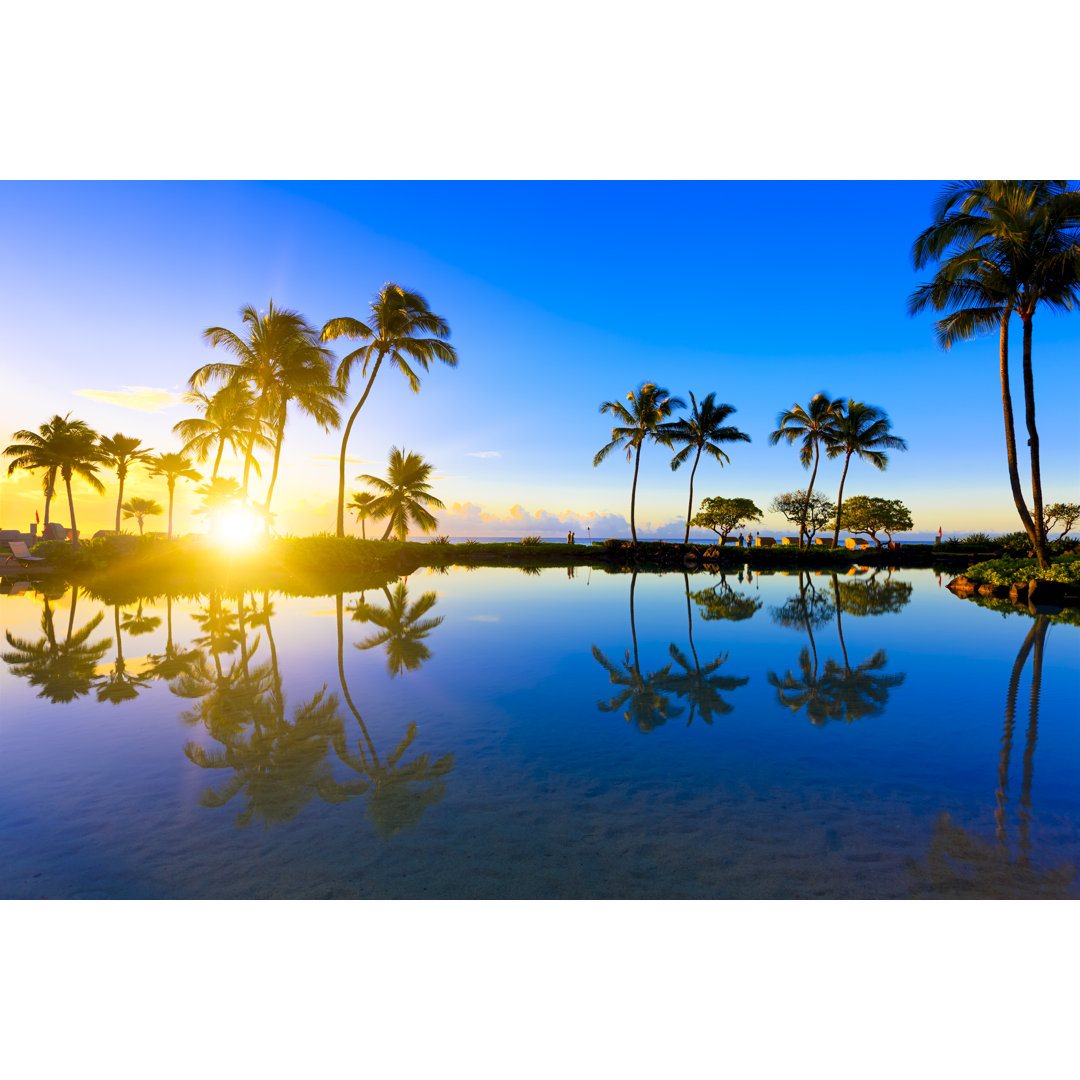 Sonnenaufgang hinter Palmen auf Kauai, Hawaii von Pawel Gaul - Drucken