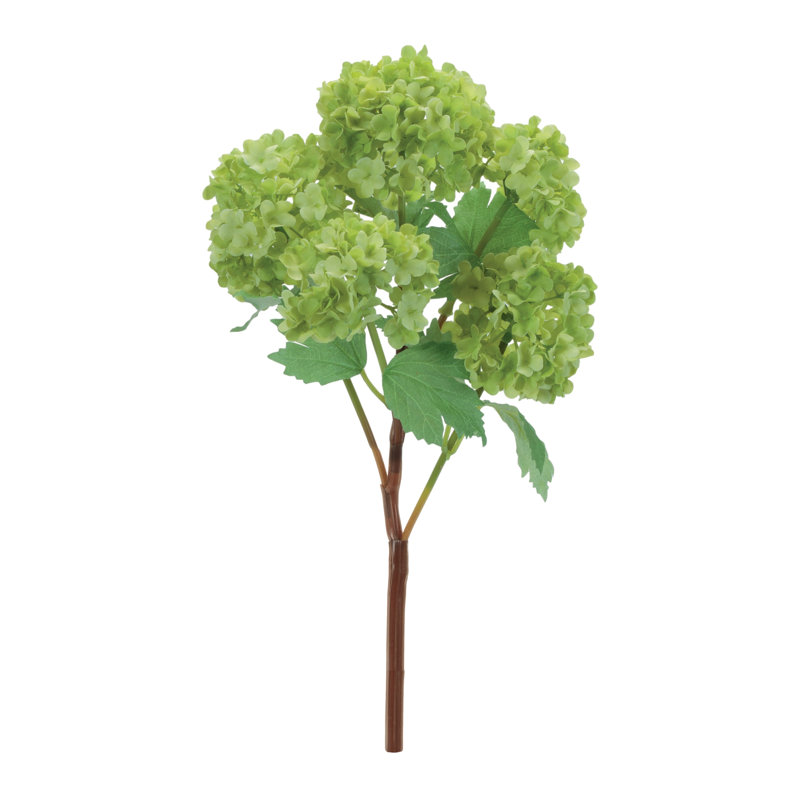 Vaporisateur d'hortensia floral, Vert