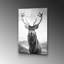 Boze Wall Decor