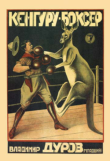 Affiche rétro kangaroo boxer