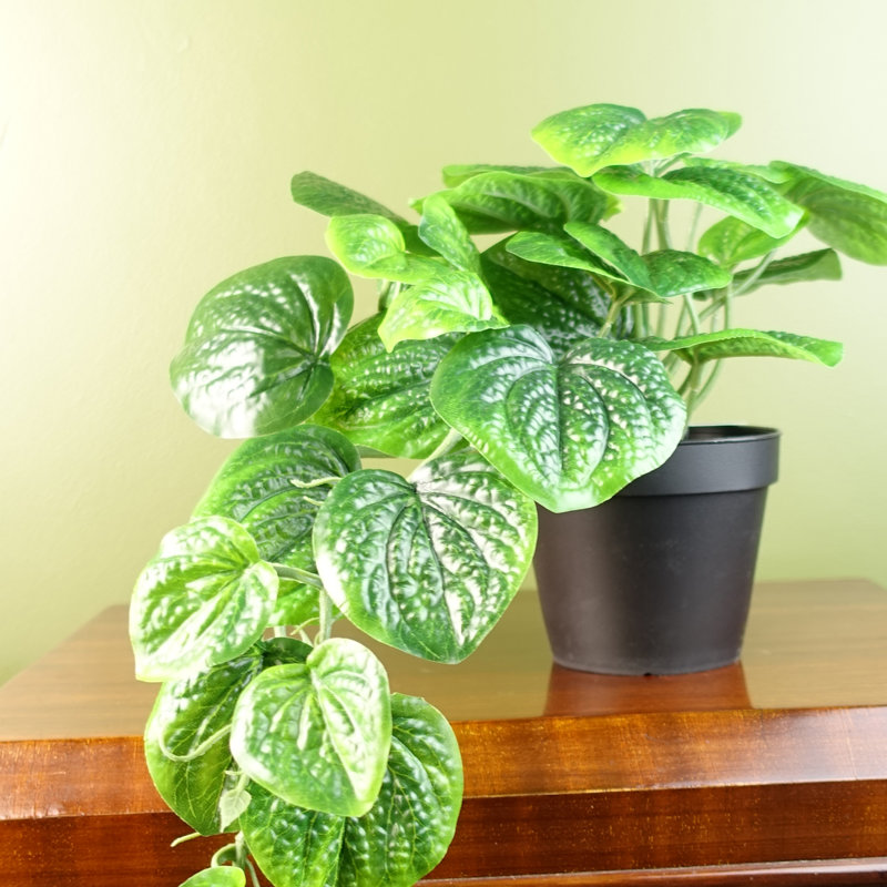 Foliage Plants 35 cm H Faux Ficus and Foliage Plant in Plastic Pot Liner